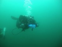 College Diver avatar