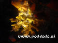 foto subacquee