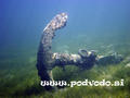 foto subacquee