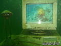 foto subacquee
