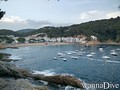 foto subacquee