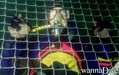 foto subacquee